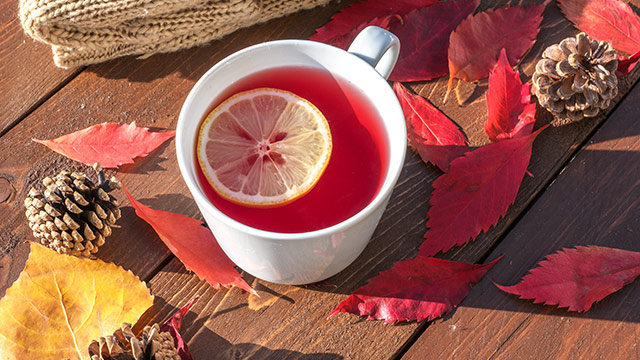 podzimní šípkový čaj