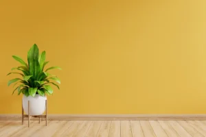 minimalismus