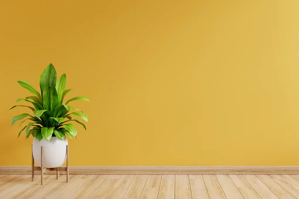 minimalismus